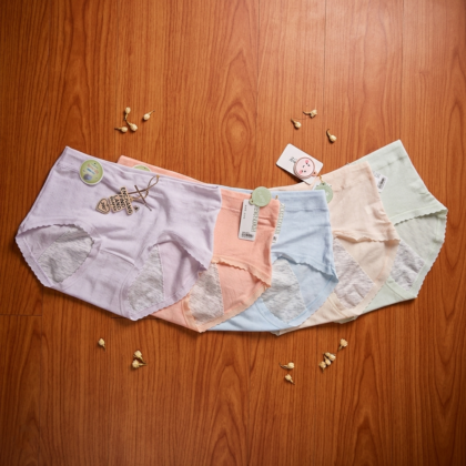 4 Leak proof period panties